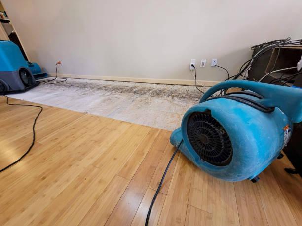 Professional Flood Damage Cleanup technician working in Woodville, TX